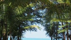 บนชายหาด