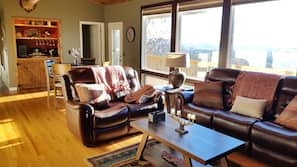 Flat-screen TV, fireplace, books, music library