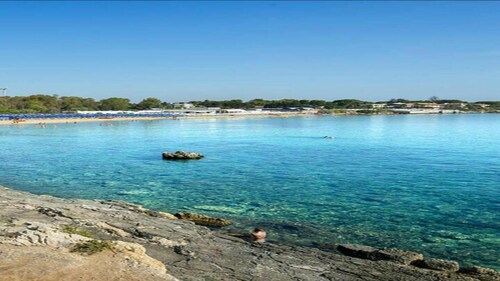 Arenella Vacations 2019 Vacation Packages Deals Travelocity