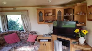 Flat-screen TV, DVD player