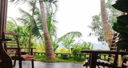 Viveka Inn Guest