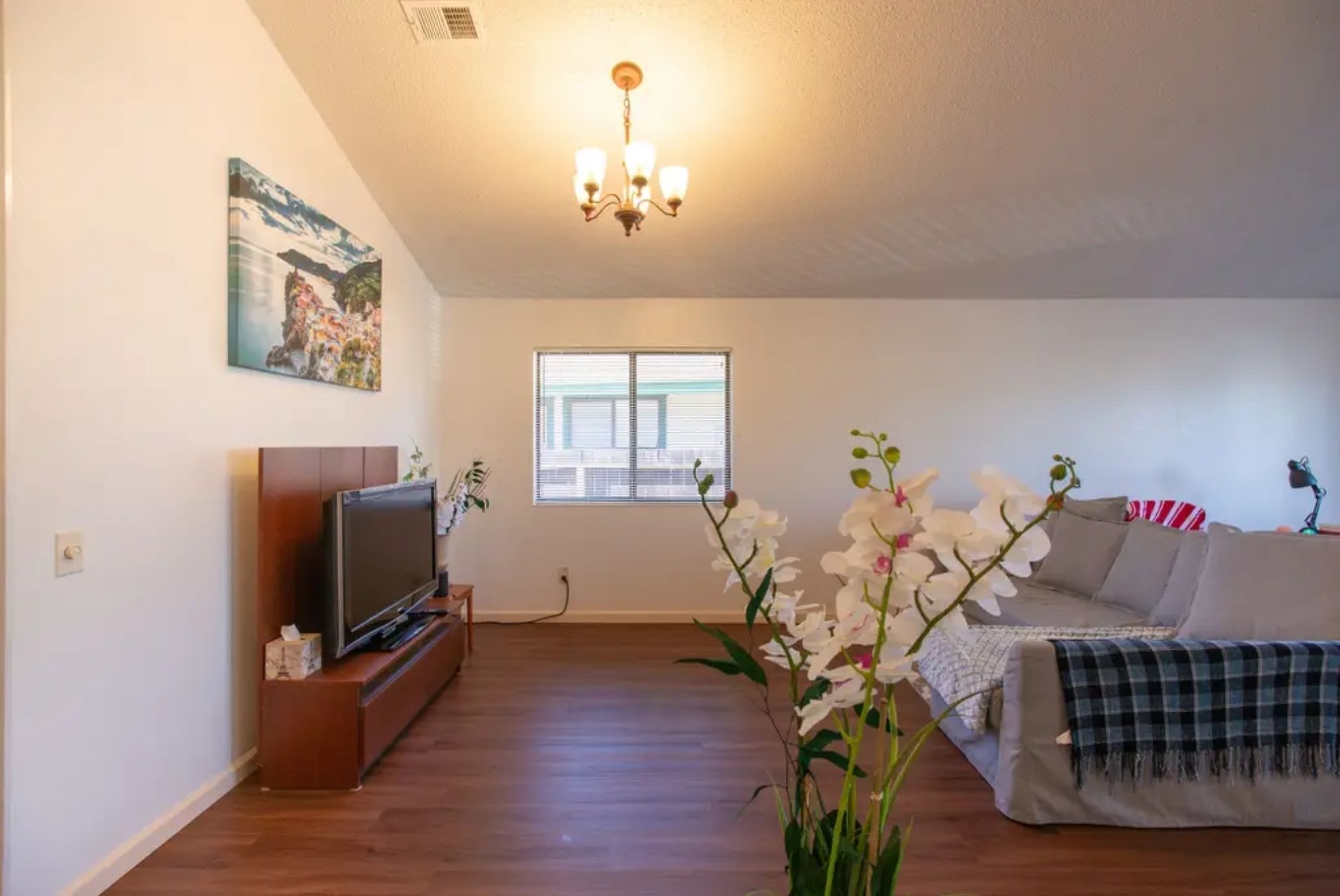Coffey Park Wine Country Getaway in Santa Rosa, United States