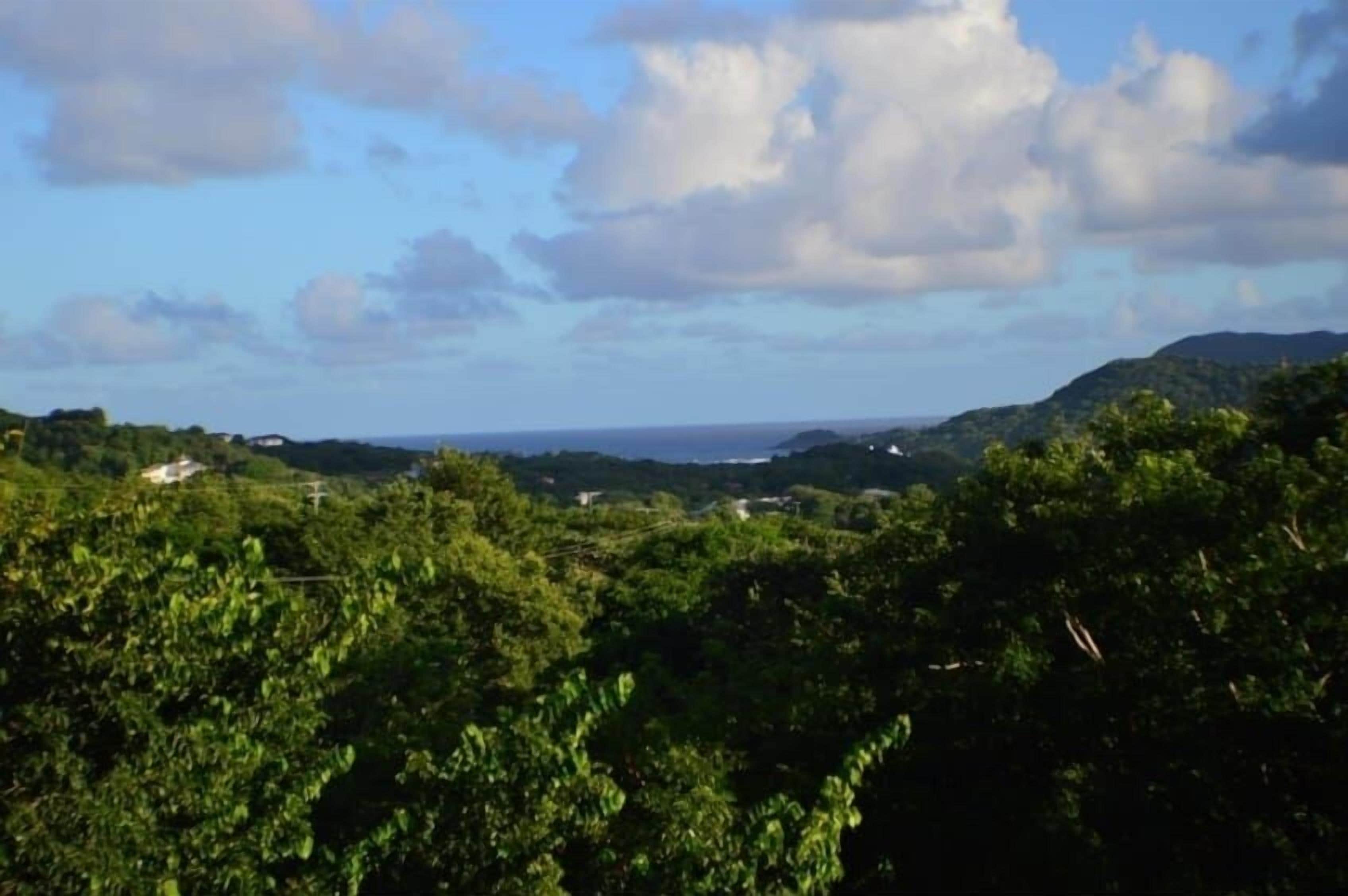Elser's Bed and Breakfast in Castries, Saint Lucia