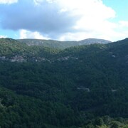 Sagone Holiday Rentals And Apartments Ebookerscom