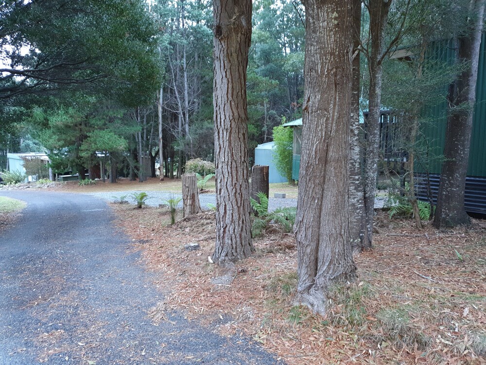 Roland B&B