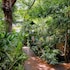 Secret garden iguazu