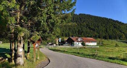 Haflingerhof - Kematsried