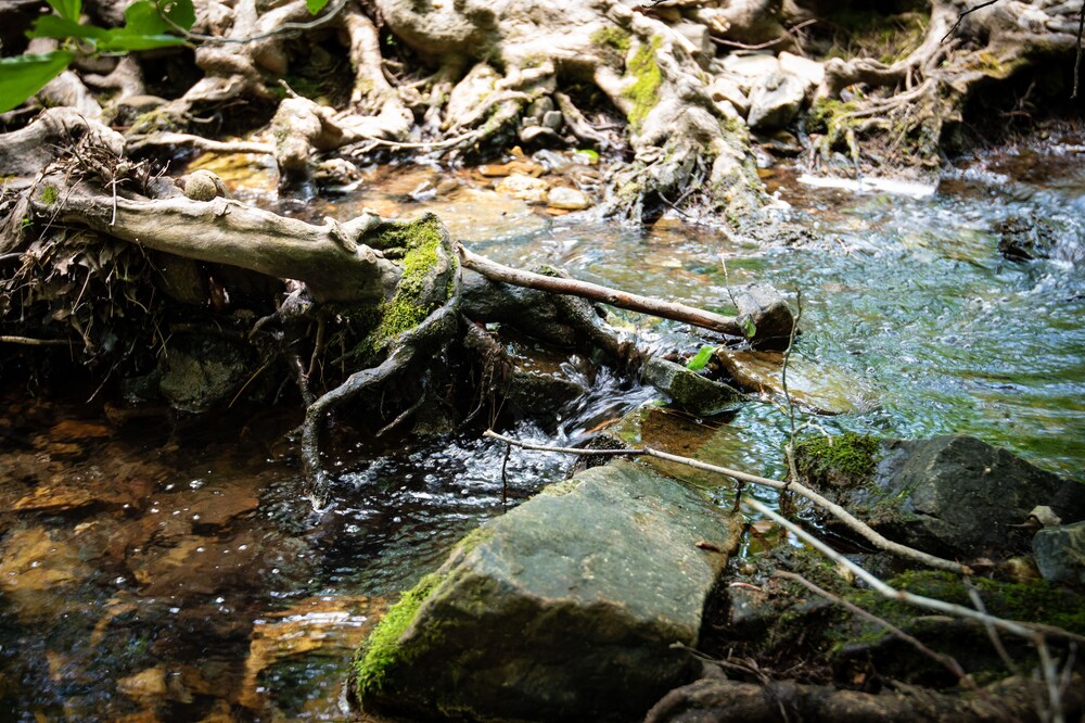 Water Music Broken Bow 5 Br Cabin In Idabel Hotel Rates