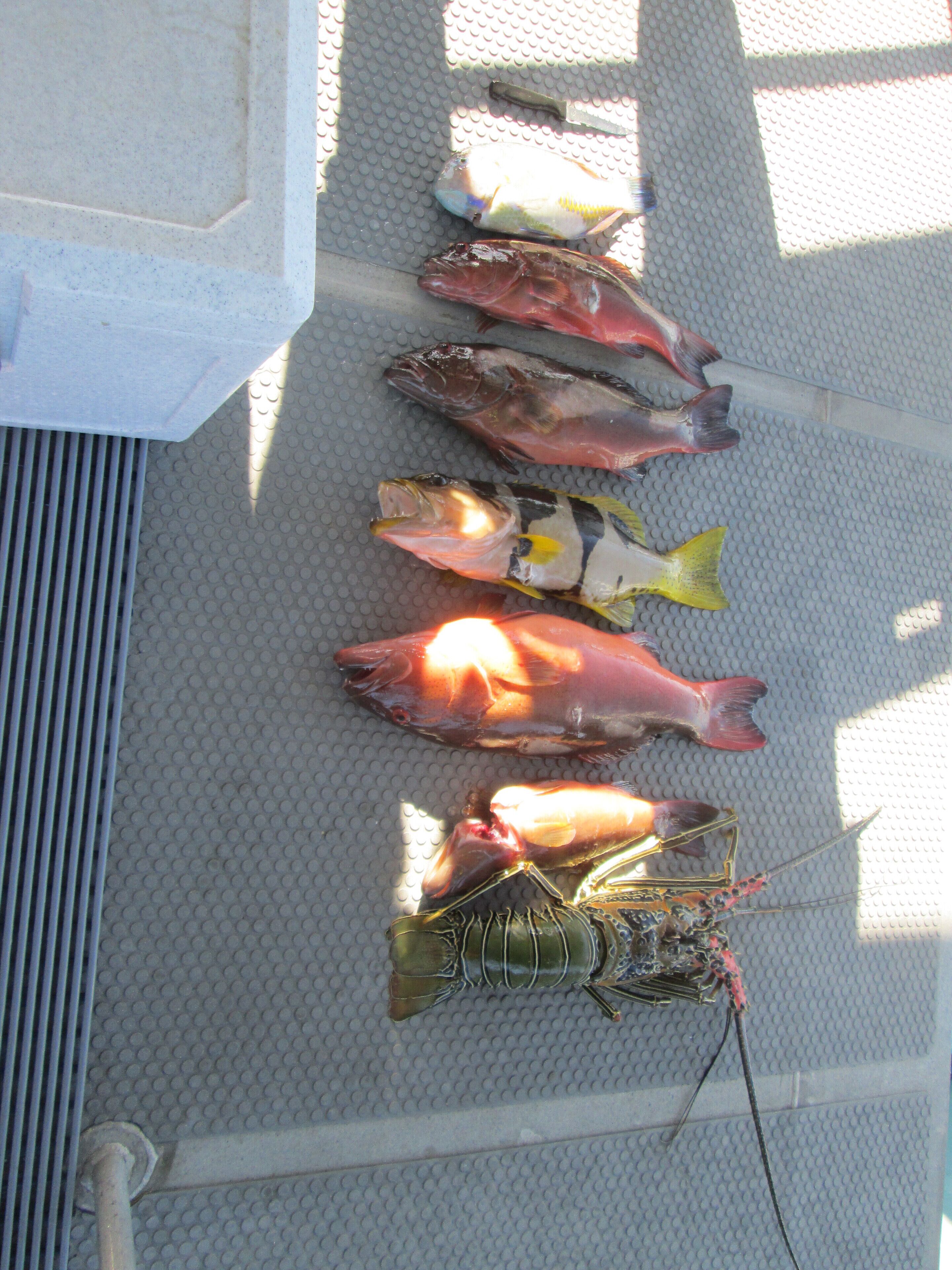 Private Self Contained 1 bed Accommodation With Bikes and Breakfast