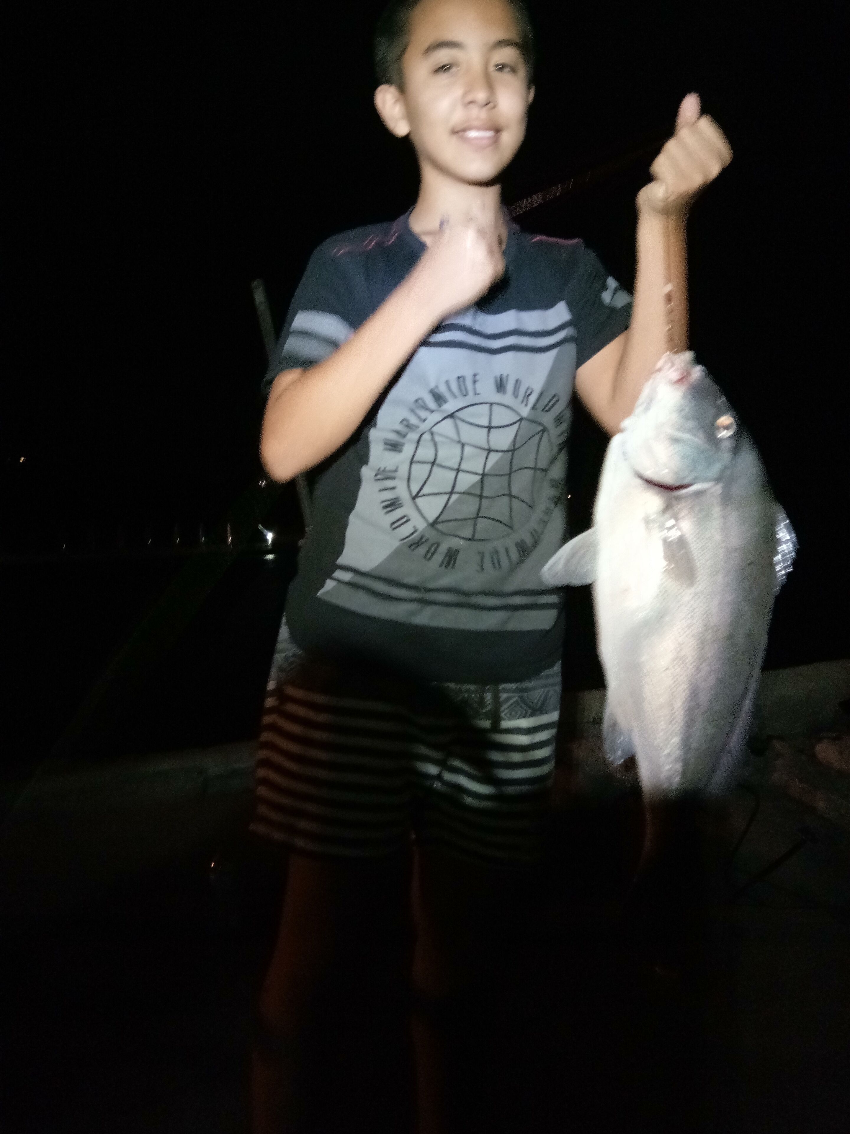 Private Self Contained 1 bed Accommodation With Bikes and Breakfast