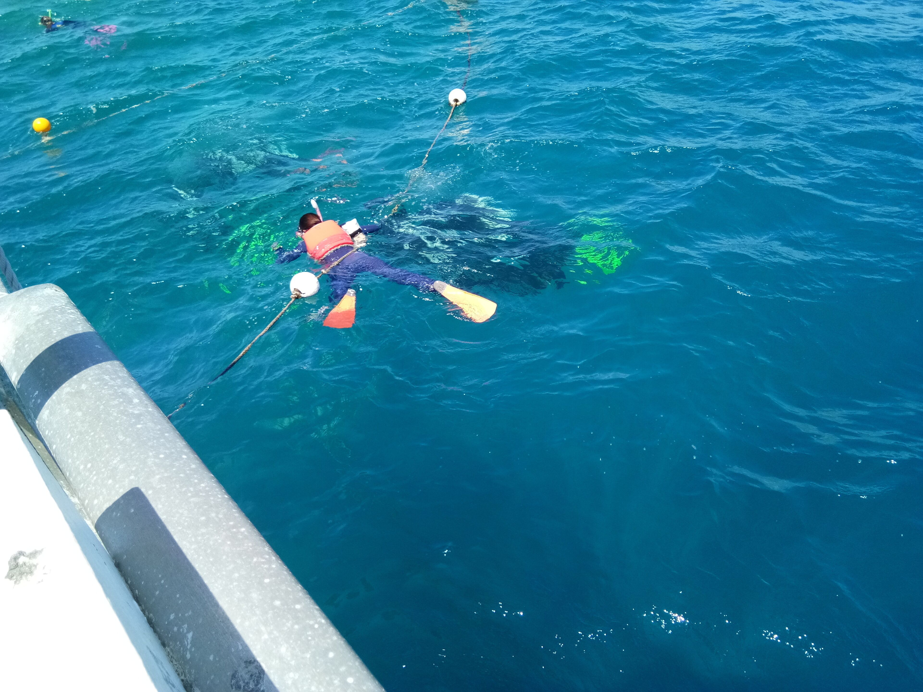 Private Self Contained 1 bed Accommodation With Bikes and Breakfast