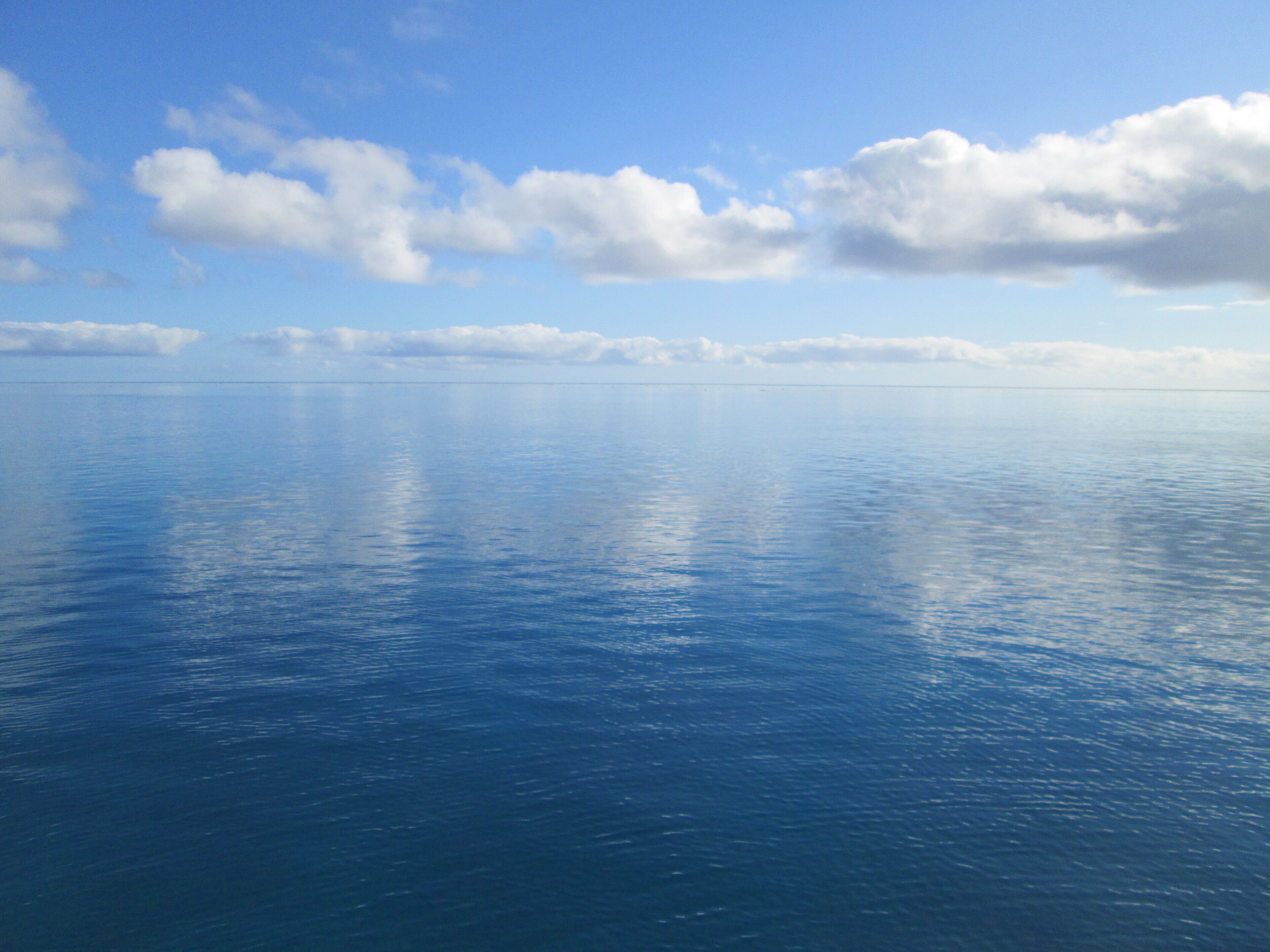 Private Self Contained 1 bed Accommodation With Bikes and Breakfast