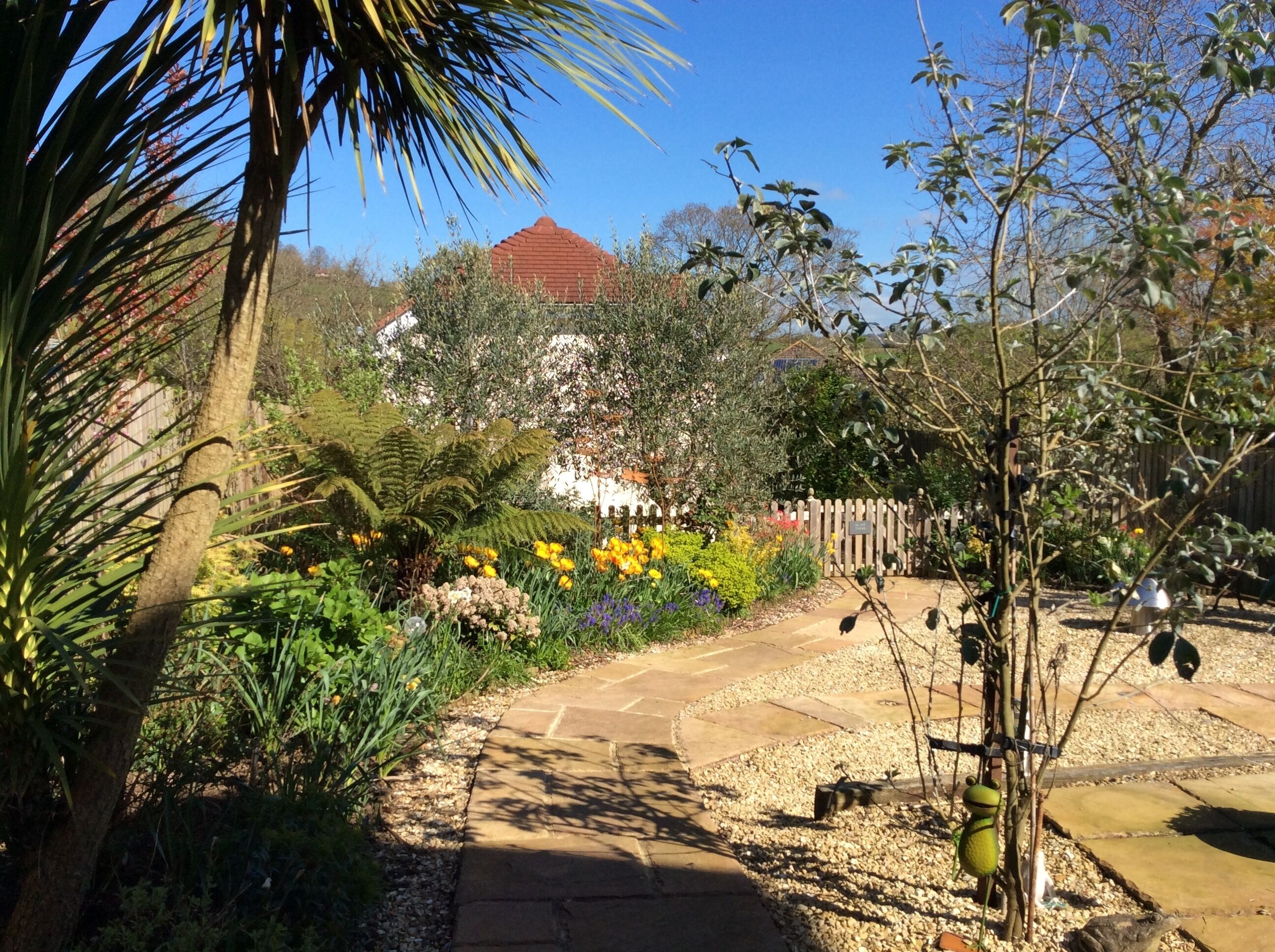 private dog friendly cottages