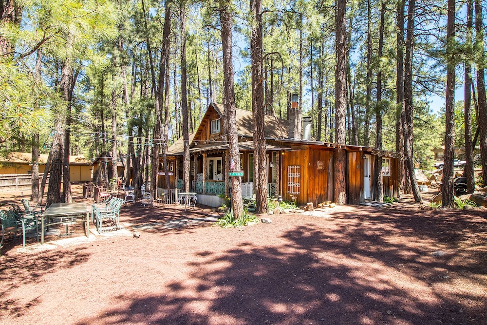 Charming Cozy Uniquely Furnished Rustic Cabin Steps to Forest Trails