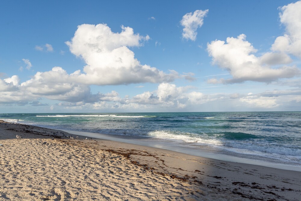Bright condo with stunning ocean views, pool, & hot tub