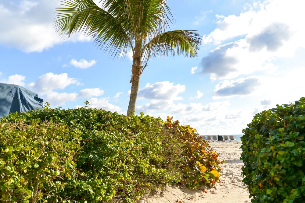 Bright condo with stunning ocean views, pool, & hot tub