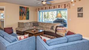 TV, fireplace, DVD player, books