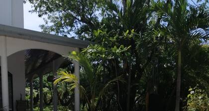 Casa Alice Surf Lodge