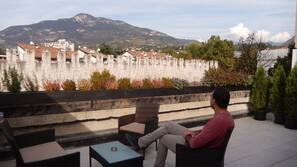 Terras