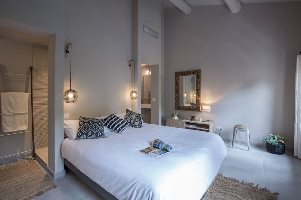 ST REMY DE PROVENCE APARTMENTS AND LOFTS St.RémydeProvence Vrbo