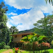 Hotels Near Koke E State Park Waimea Find Cheap 475 Hotel Deals