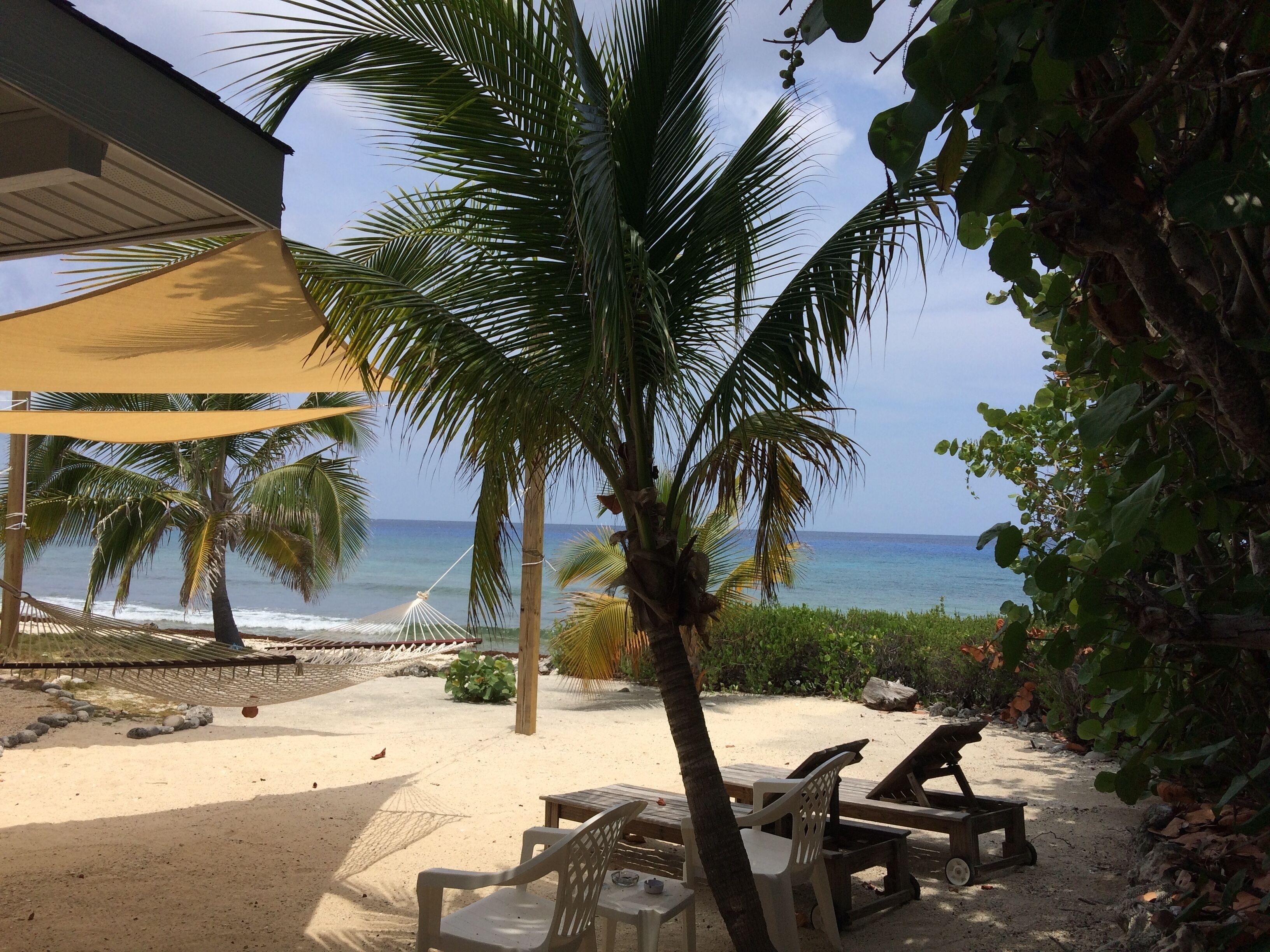 Sunsets, Amazing Sonkeling, Seaside Veranda, Kayaks, Bikes, Fresh Seafood 4U in West End in West End, Cayman Islands