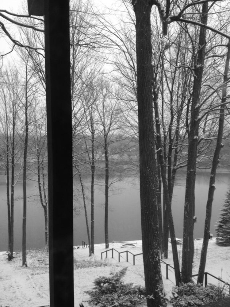 Beautiful lake house in northern Michigan