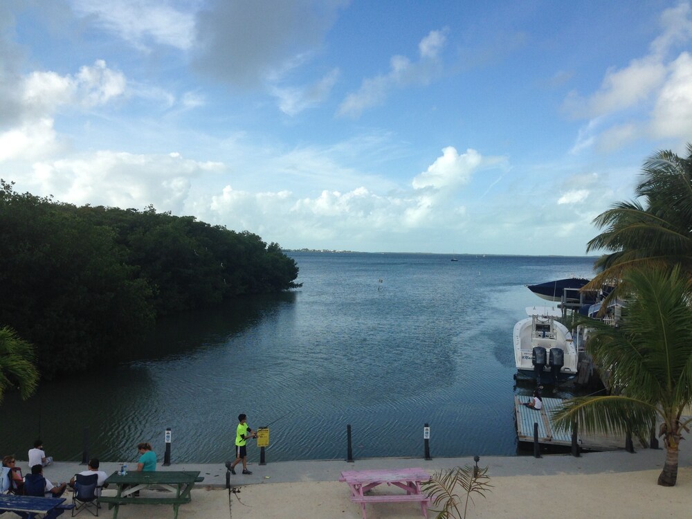 Calusa Campground where you can have fun or just relax!!!, Key Largo