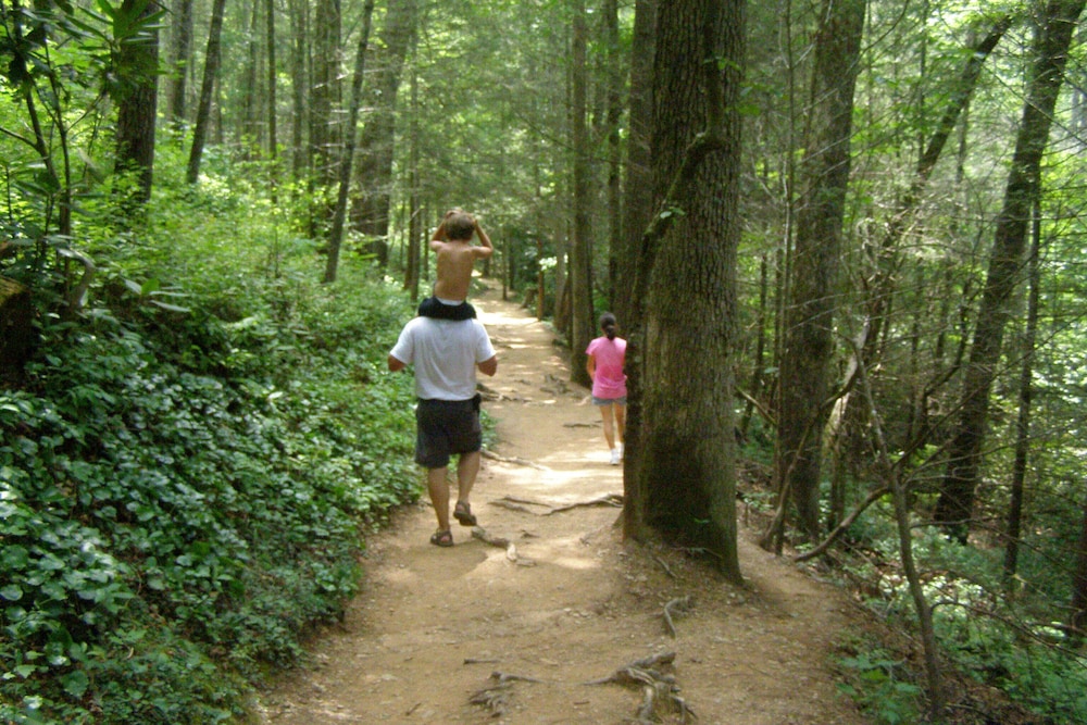 Boone Lake Bungalow.  Cozy, Comfortable and Convenient.
