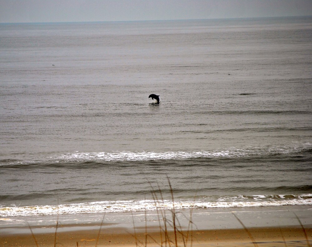 Four Winds, Carolina Beach Oceanfront Condo, North End