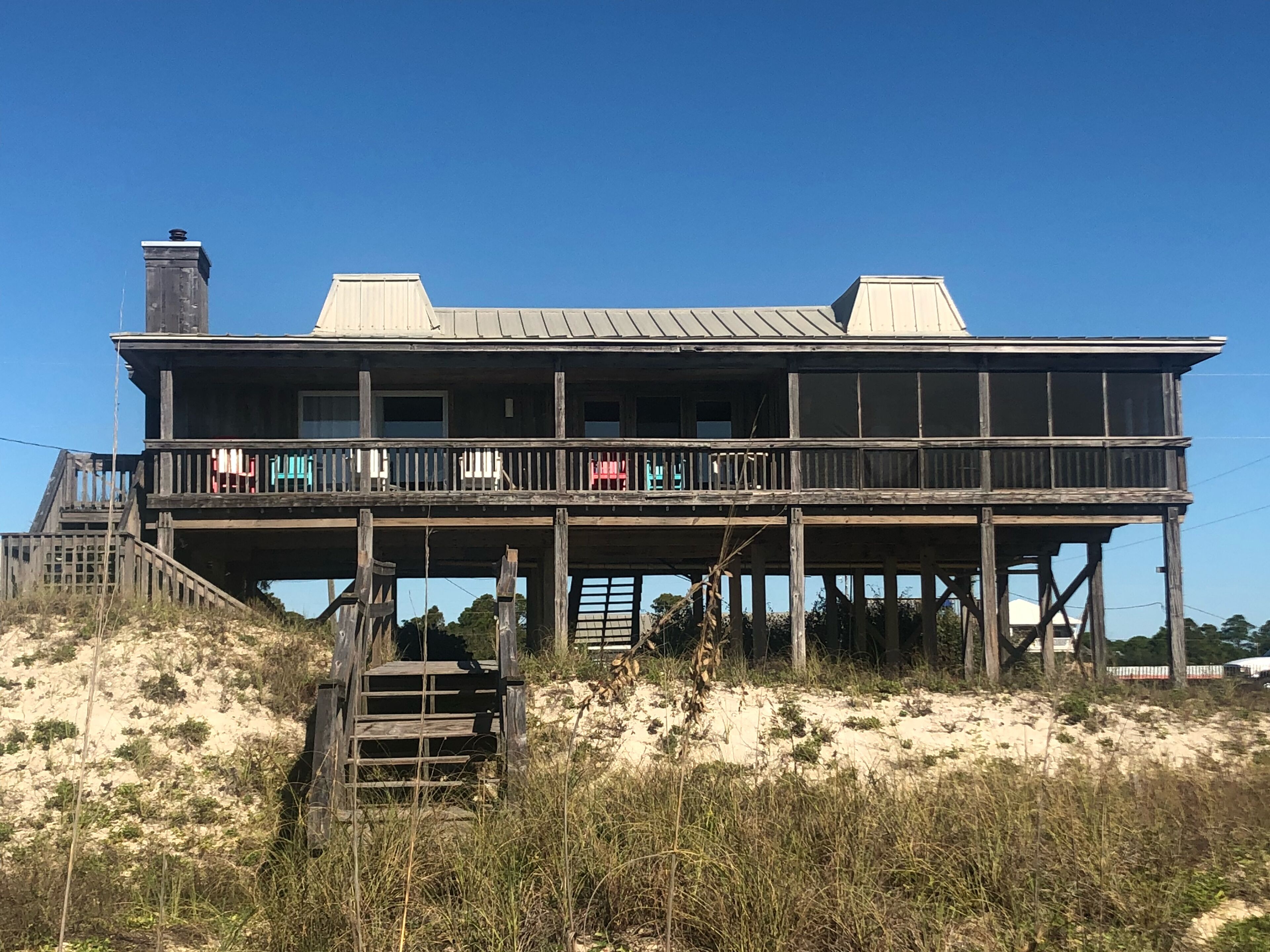 beach house dog friendly