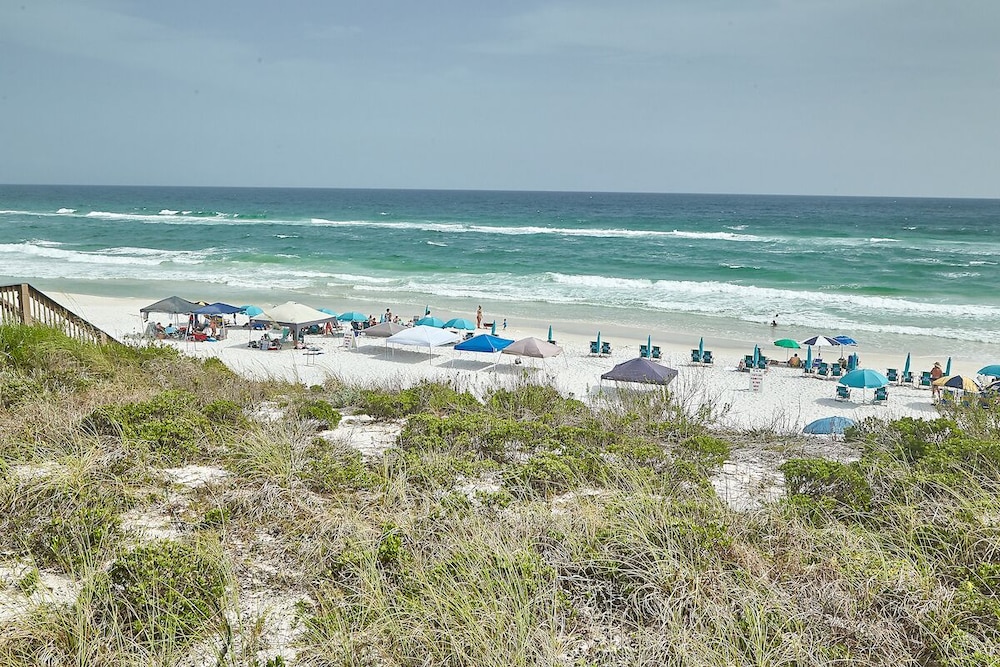 'Wasted Time'  BEACHFRONT & FABULOUS! Beach Set-Up Included March-October!