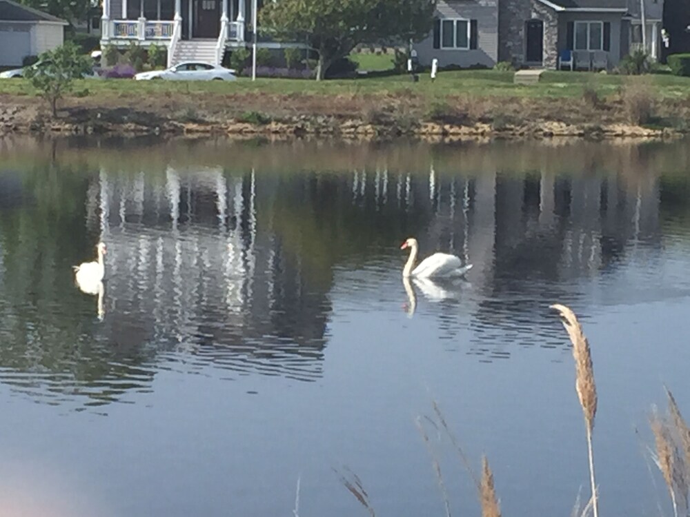 Lake Front Spacious 3 Bdrm Rental on Silver Lake -Steps to the Beach