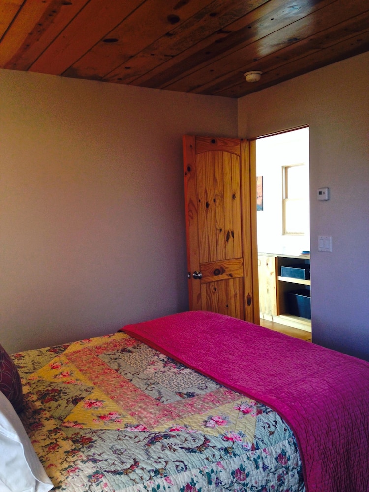 Cozy Modern Apartment walking distance to Carbondale's restaurants