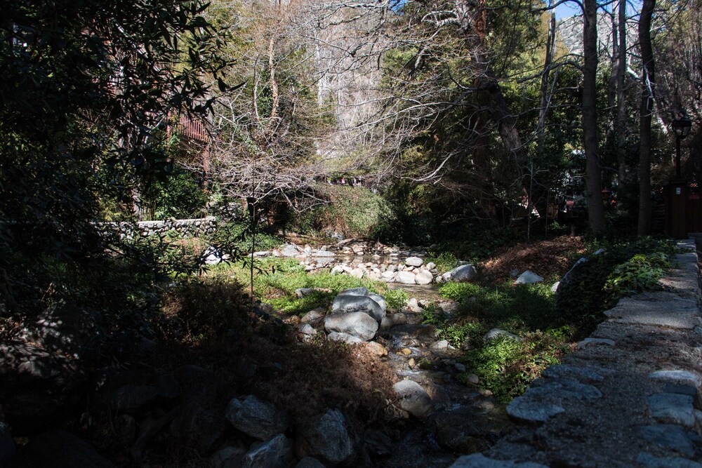 Mt. Baldy Cottage on Bear Creek  in the  Secluded Village of Mt. Baldy