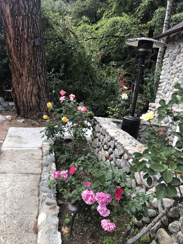 Mt. Baldy Cottage on Bear Creek  in the  Secluded Village of Mt. Baldy