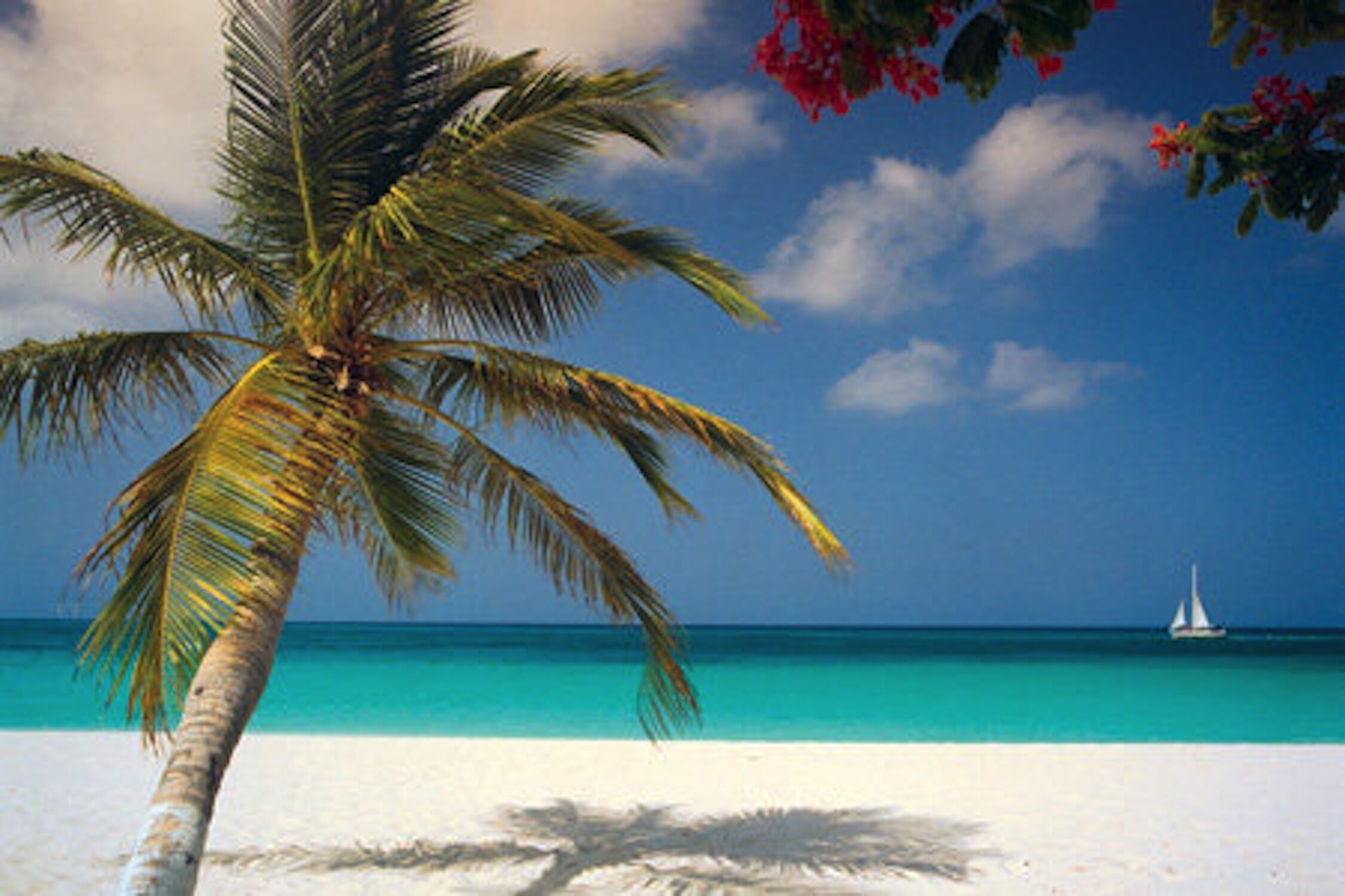Serenityeagle Beach in Oranjestad, Aruba