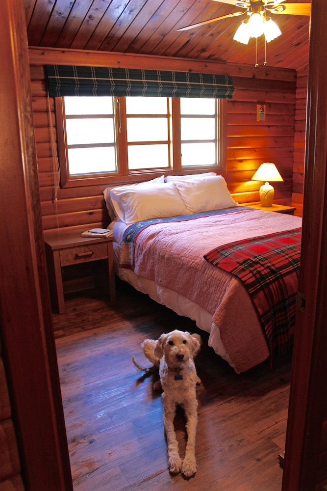 Little Trout Lake Cabin on the pristine Wabana Chain Views, Wooded
