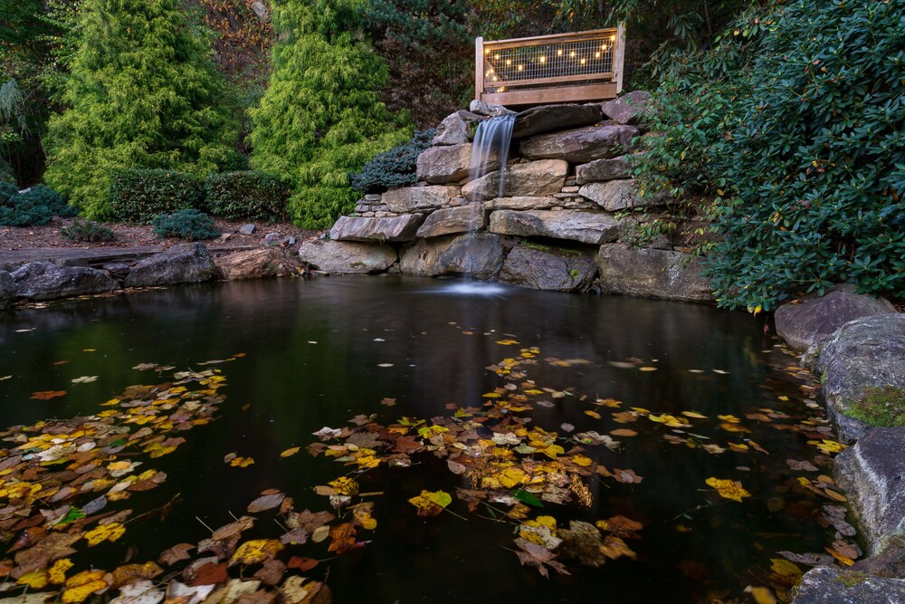 A Stunning Creekside Home, Breathtaking Waterfeatures to Enjoy from Every Window