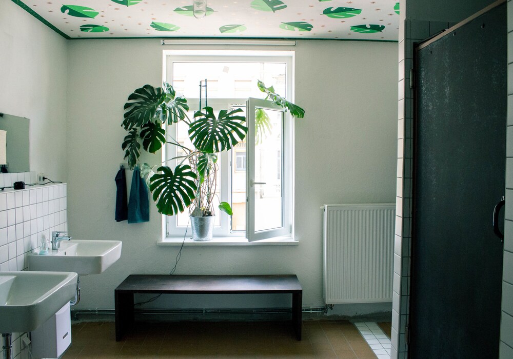 Foto - Hostel & Garten Eden