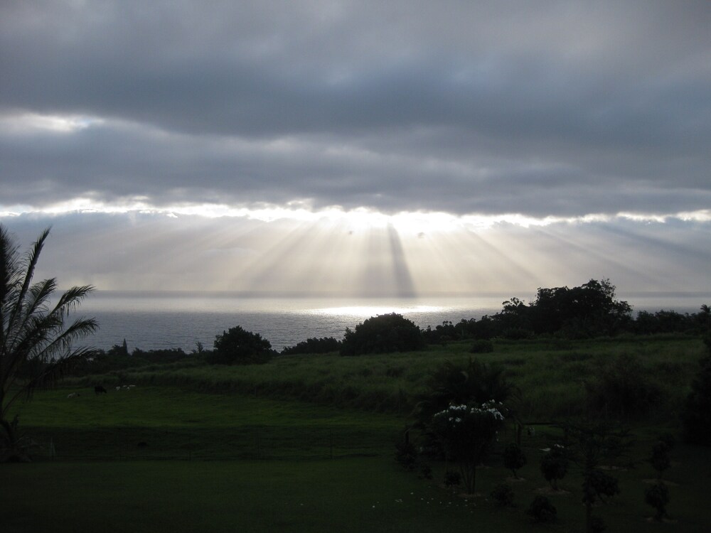 Lovely garden cottage, Hamakua waterfall district, 100 solar in Ninole