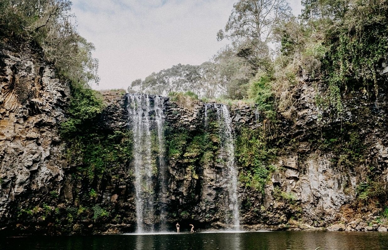 The Nutty Bungalow..on organic farm by the beach .