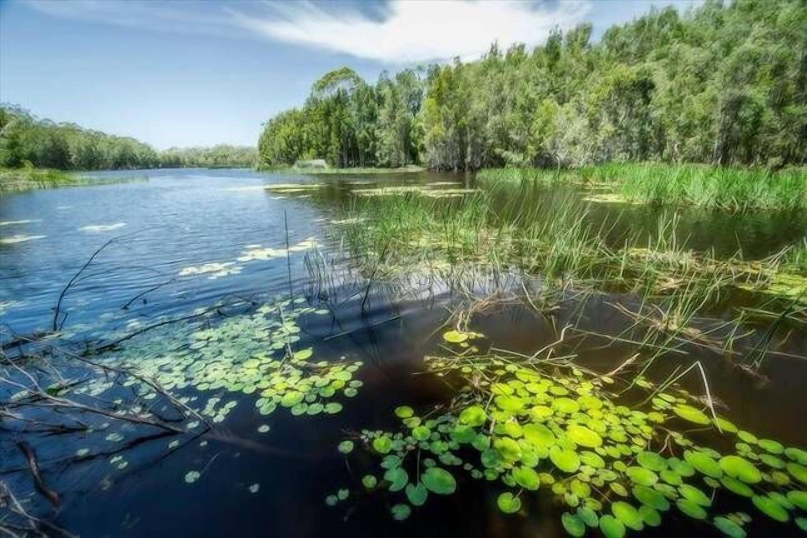 The Nutty Bungalow..on organic farm by the beach .