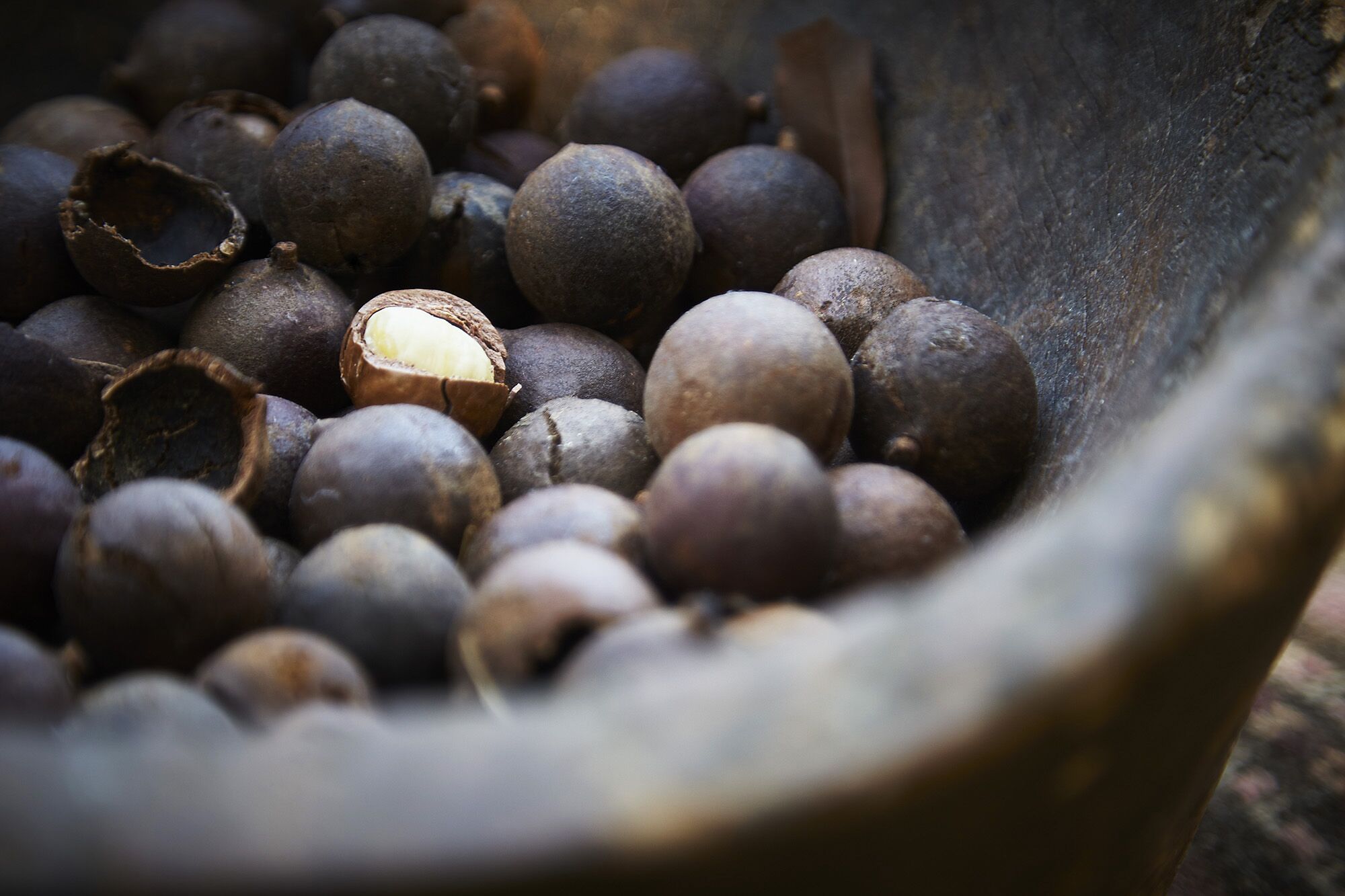 The Nutty Bungalow..on organic farm by the beach .