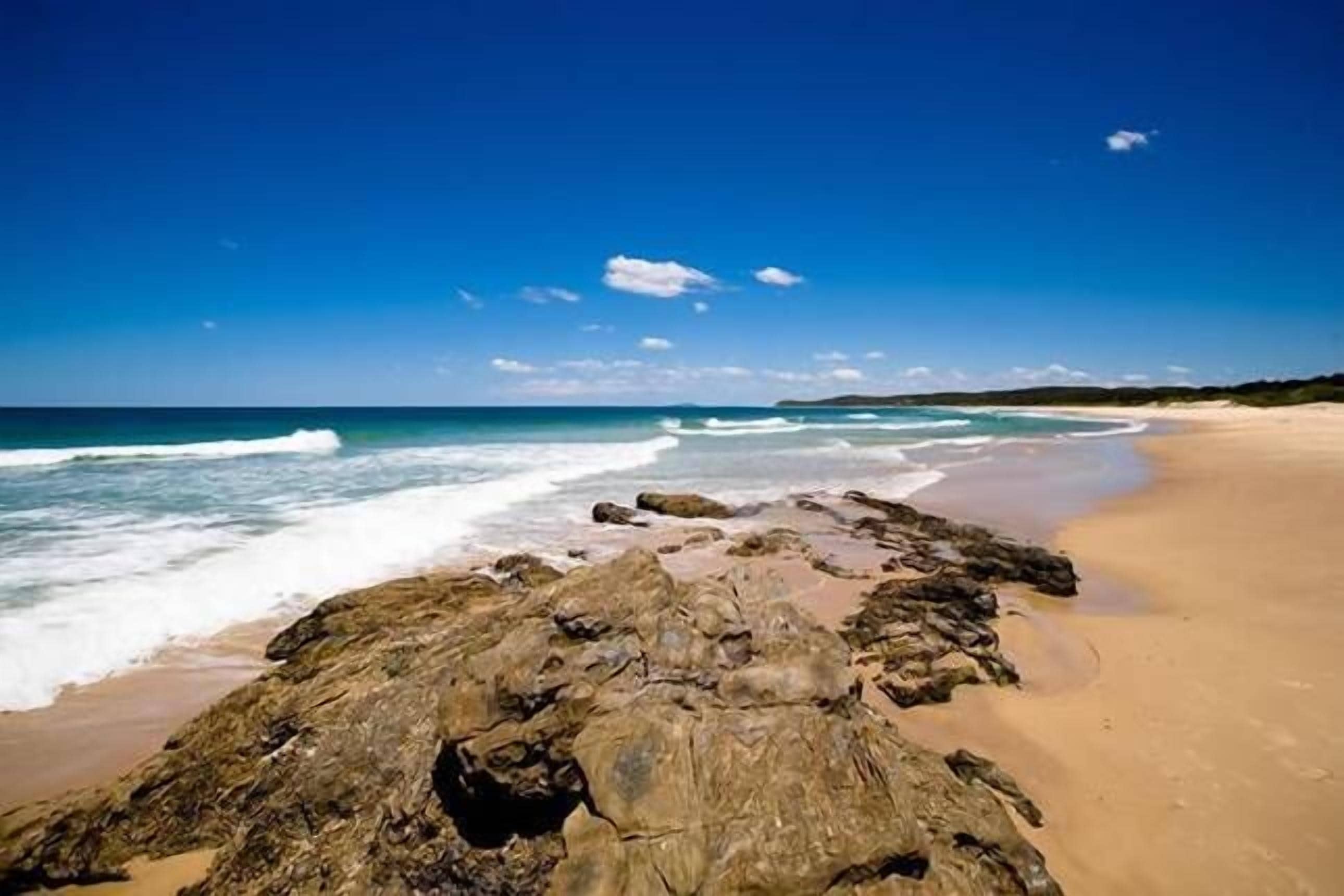 The Nutty Bungalow..on organic farm by the beach .