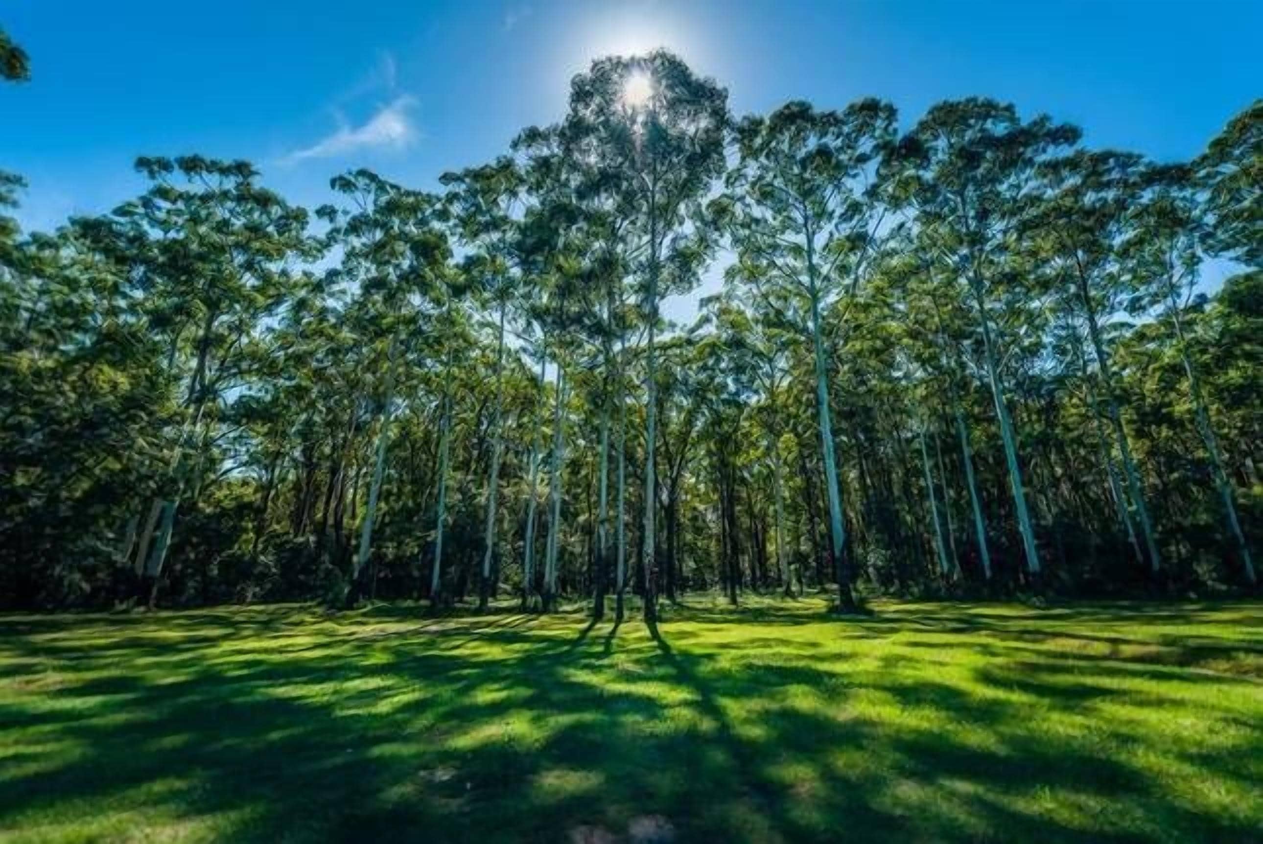 The Nutty Bungalow..on organic farm by the beach .