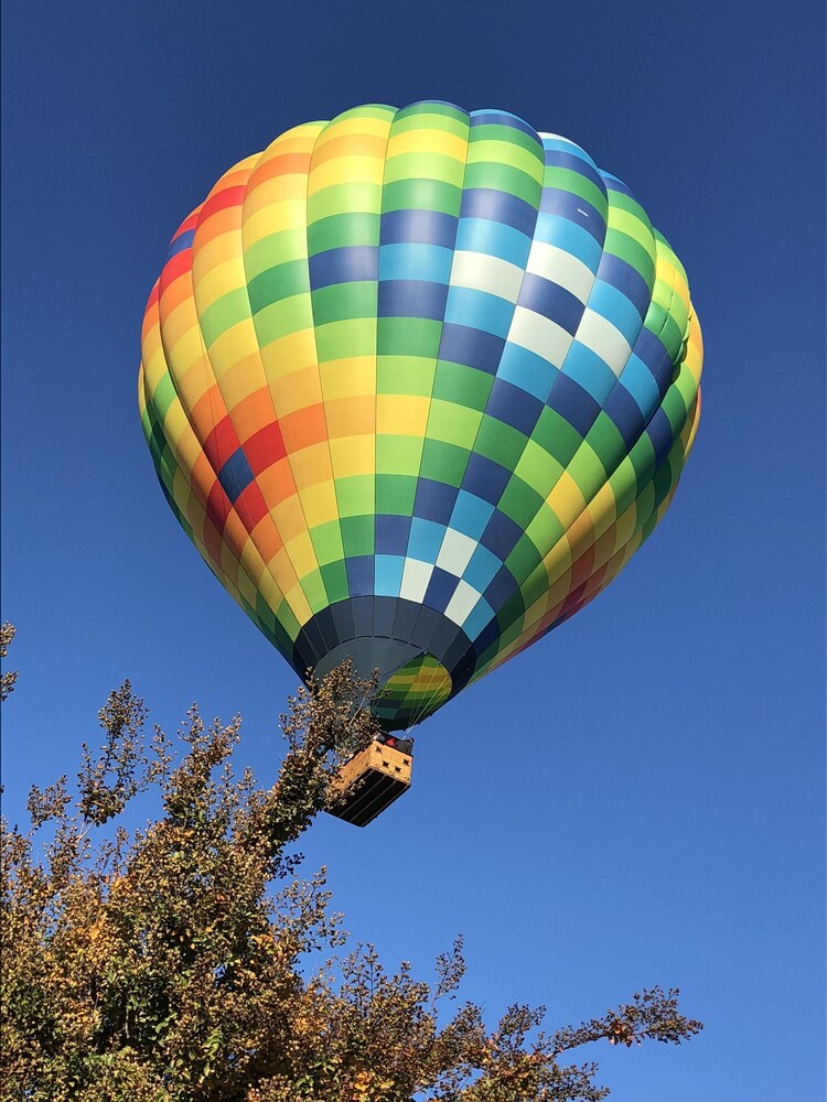 Downtown Napa Cottage- walking distance to City Center 