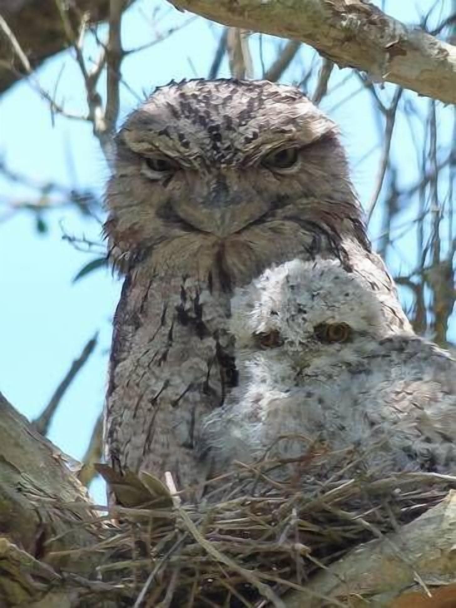 Mullaway Cabins 7th Heaven