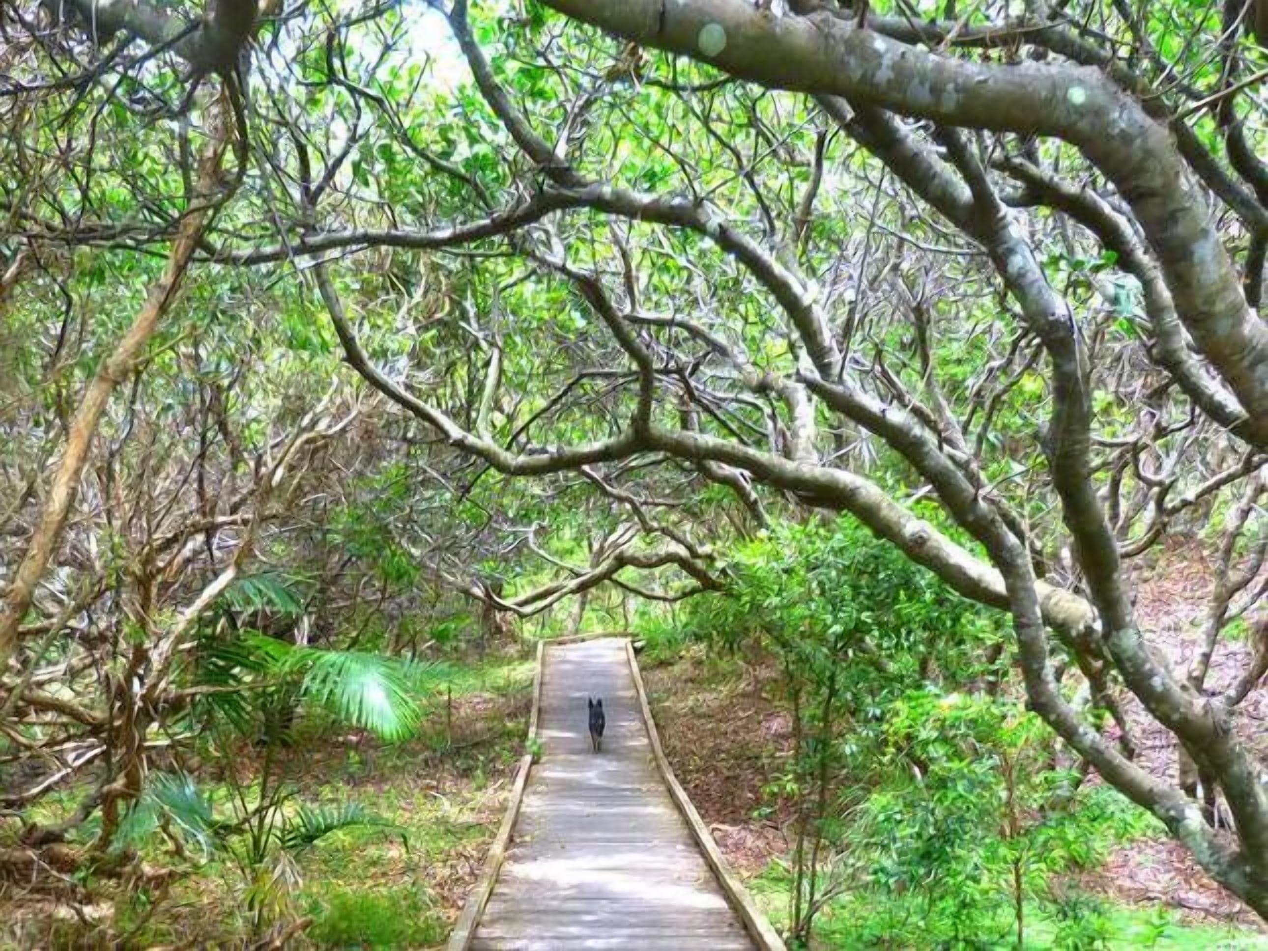 Mullaway Cabins 7th Heaven