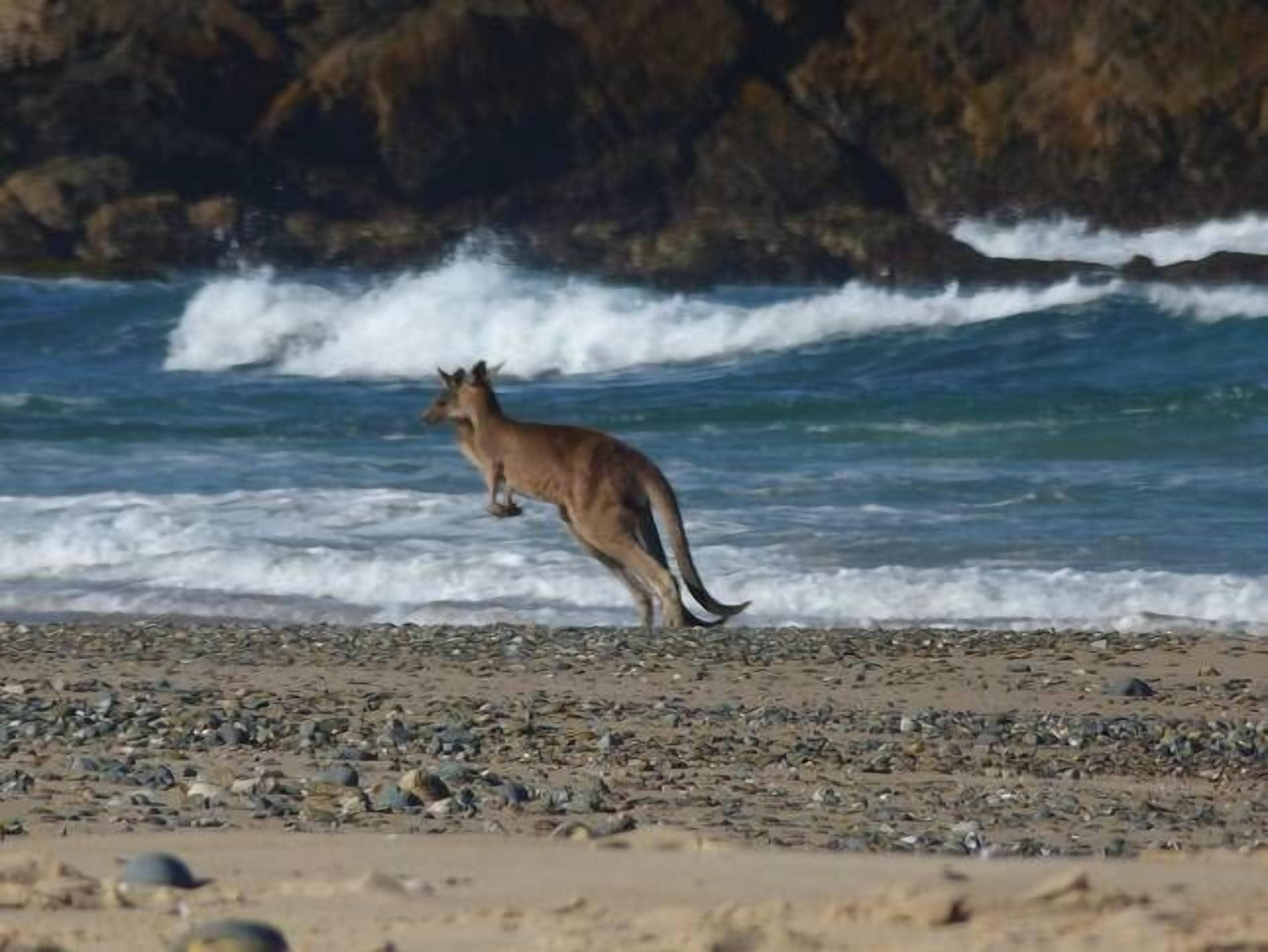 Mullaway Cabins 7th Heaven